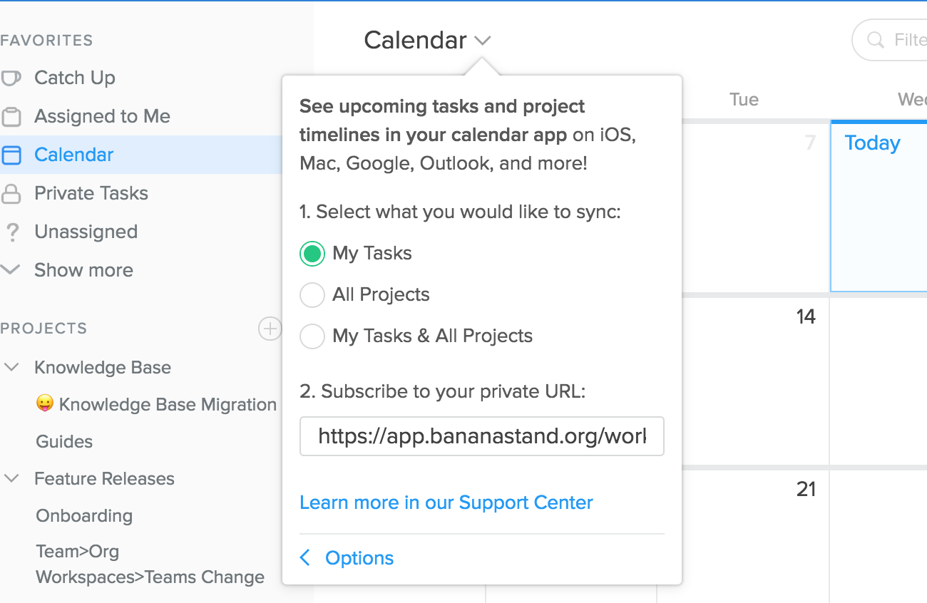 calendar projects